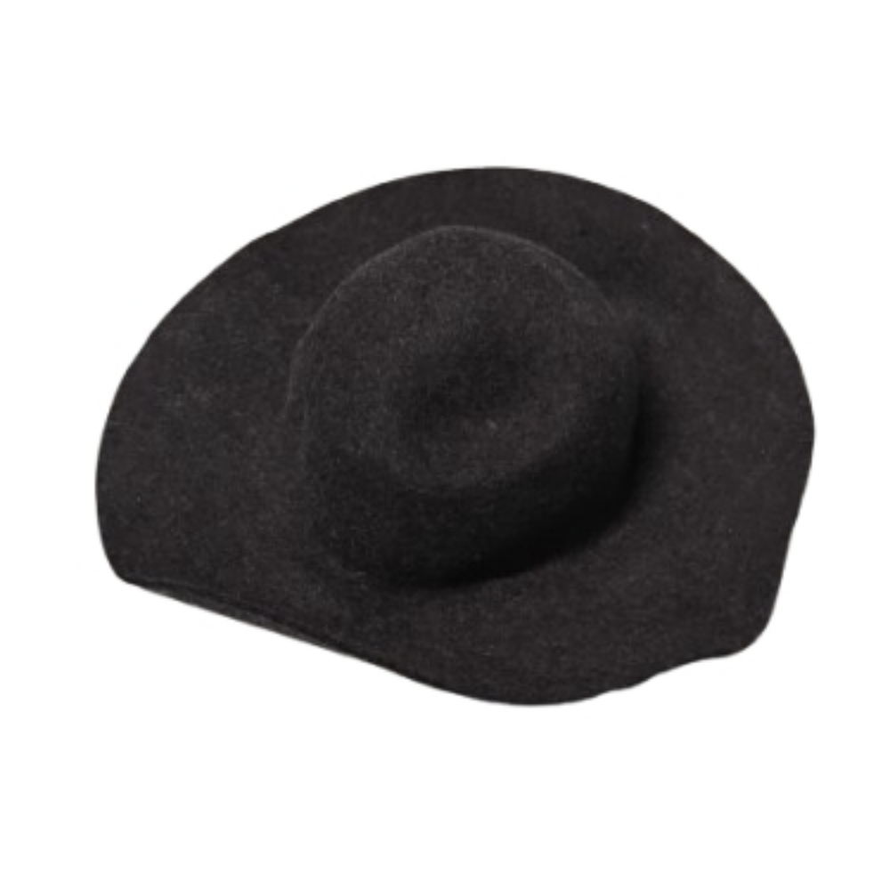 NWT J.Crew Womens Floppy Felt Wool Hat One Size